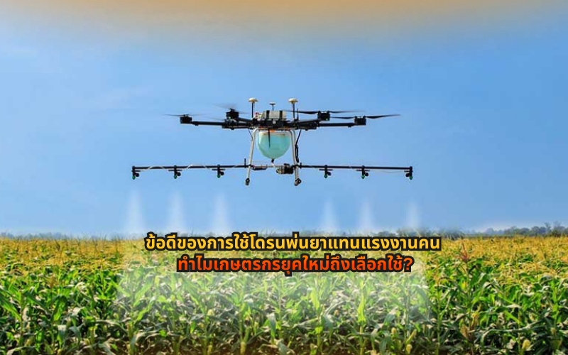 #โดรนเกษตร #โดรนพ่นยา #เกษตรยุคใหม่ #SmartFarming #เทคโนโลยีการเกษตร #ลดต้นทุนเกษตร #เกษตรกรไทย #ธุรกิจโดรน #รับจ้างพ่นยา #สร้างรายได้จากโดรน