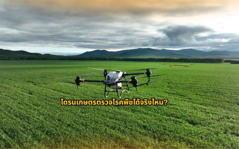 #โดรนเกษตร #เทคโนโลยีเกษตร #PrecisionAgriculture #เกษตรยุคใหม่ #โดรนสำรวจ