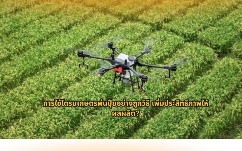 #โดรนเกษตร #โดรนพ่นปุ๋ย #SmartFarming #เกษตรยุคใหม่ #เทคโนโลยีการเกษตร #เกษตรอัจฉริยะ #ความรู้เกษตร #เทคนิคการใช้โดรน