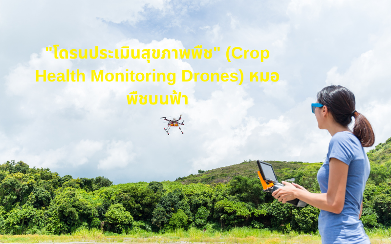 "โดรนประเมินสุขภาพพืช" (Crop Health Monitoring Drones) หมอพืชบนฟ้า