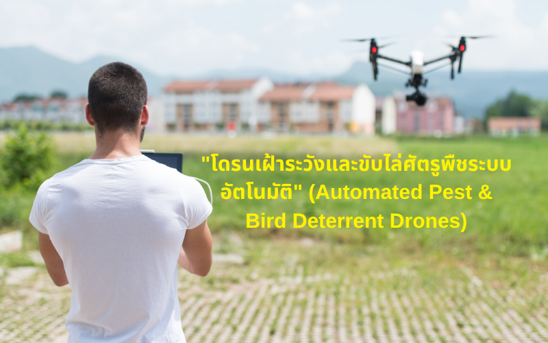 "โดรนเฝ้าระวังและขับไล่ศัตรูพืชระบบอัตโนมัติ" (Automated Pest & Bird Deterrent Drones)