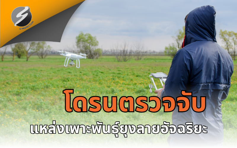โดรนตรวจจับแหล่งเพาะพันธุ์ยุงลายอัจฉริยะ