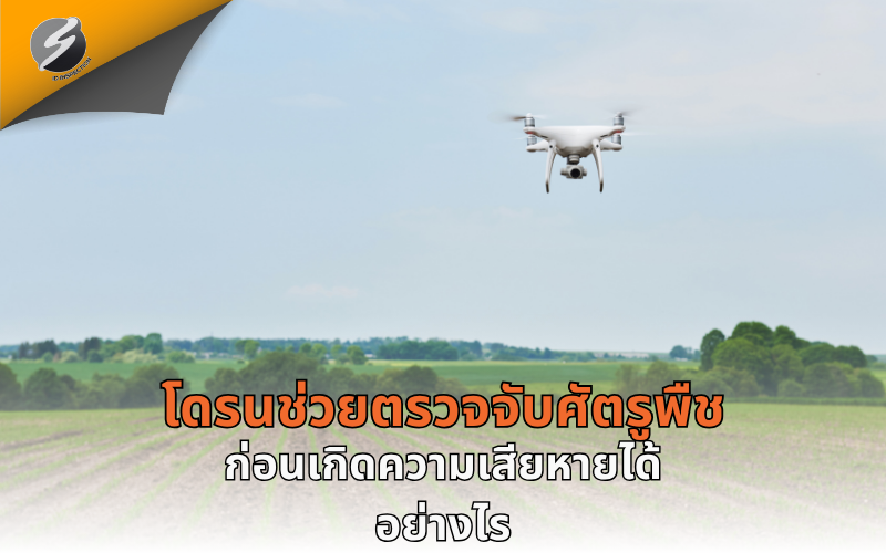 โดรนช่วยตรวจจับศัตรูพืชก่อนเกิดความเสียหายได้อย่างไร