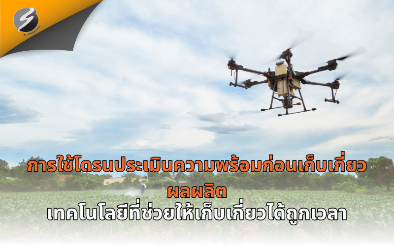 การใช้โดรนประเมินความพร้อมก่อนเก็บเกี่ยวผลผลิต เทคโนโลยีที่ช่วยให้เก็บเกี่ยวได้ถูกเวลา